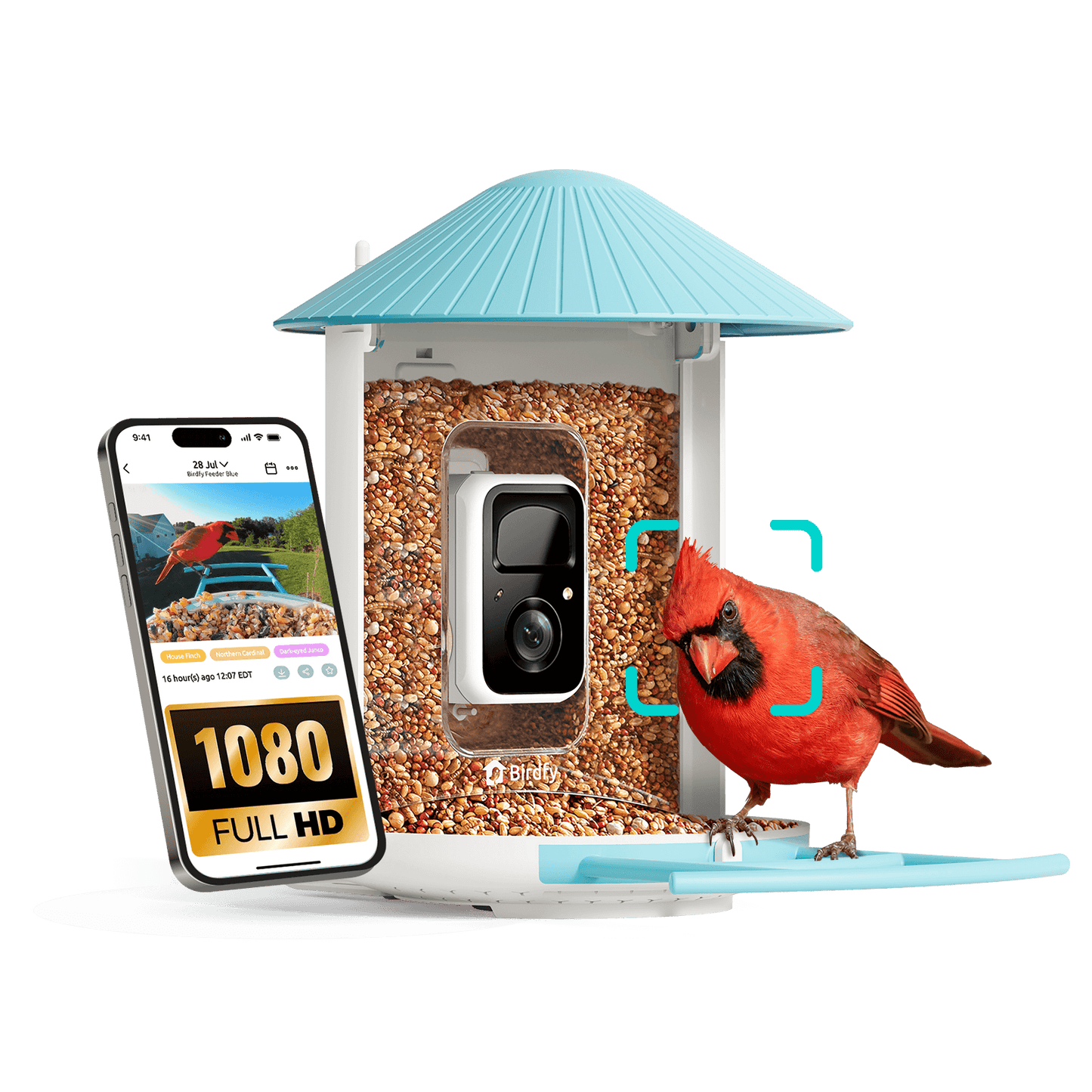 Birdfy Feeder - AI-Powered Smart Bird Feeder with Camera Non-Solar AI Lifetime Free Birdfy Feeder Birdfy