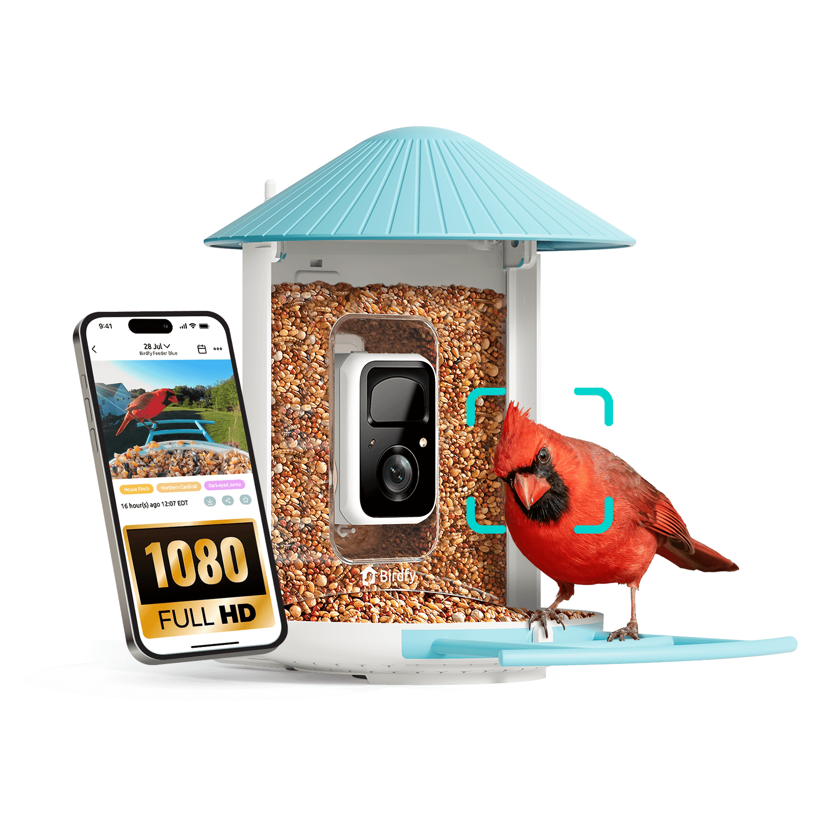 Birdfy Feeder - AI-Powered Smart Bird Feeder with Camera Non-Solar AI Lifetime Free Birdfy Feeder Birdfy