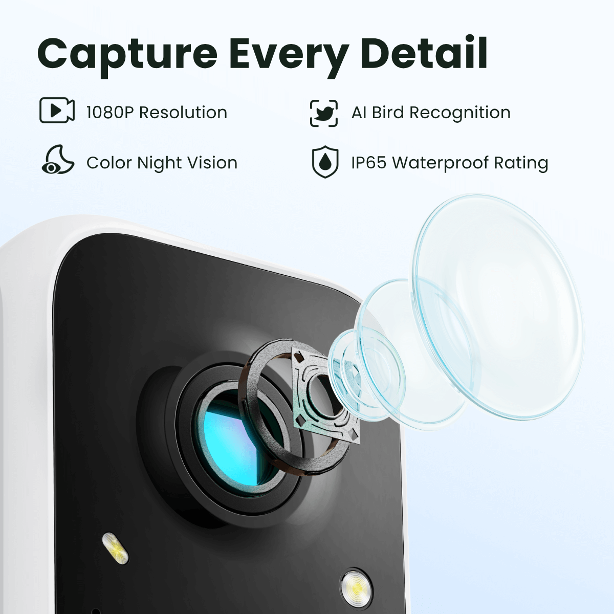 Birdfy Feeder with Solar Panel - Solar-Powered Smart Bird Feeder with Camera Bundle Birdfy