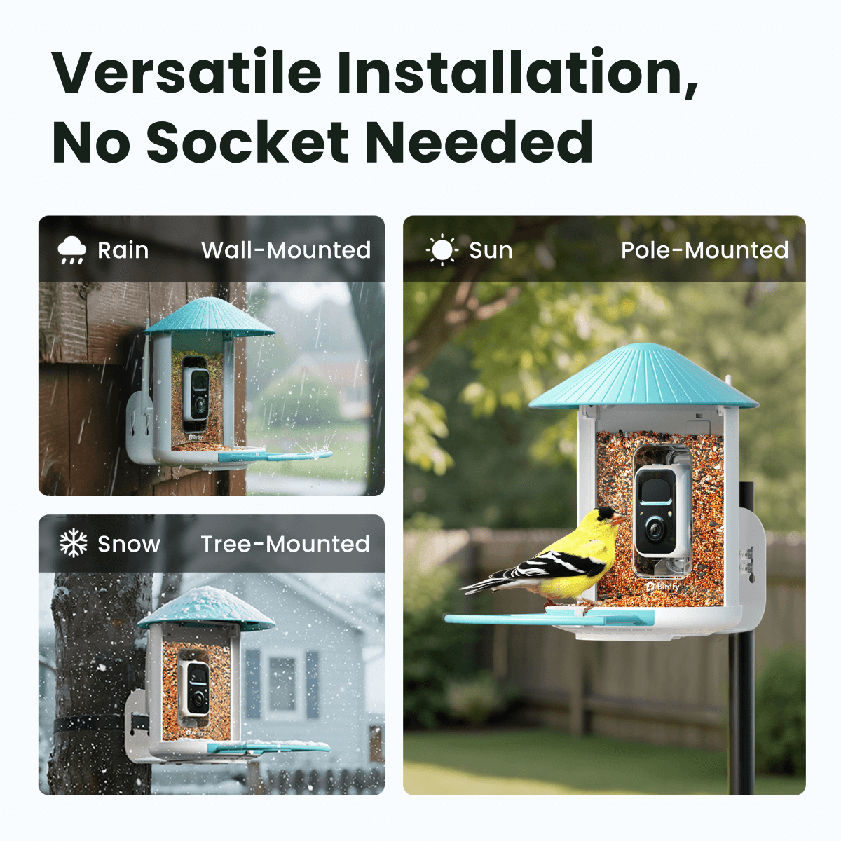 Birdfy Feeder with Solar Panel - Solar-Powered Smart Bird Feeder with Camera Bundle Birdfy