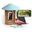 Birdfy Feeder - AI-Powered Smart Bird Feeder with Camera Solar AI by Subscription Birdfy Feeder Birdfy