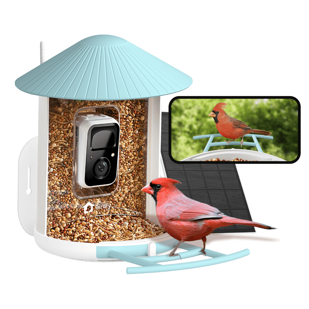 Birdfy Feeder - AI-Powered Smart Bird Feeder with Camera Solar AI by Subscription Birdfy Feeder Birdfy