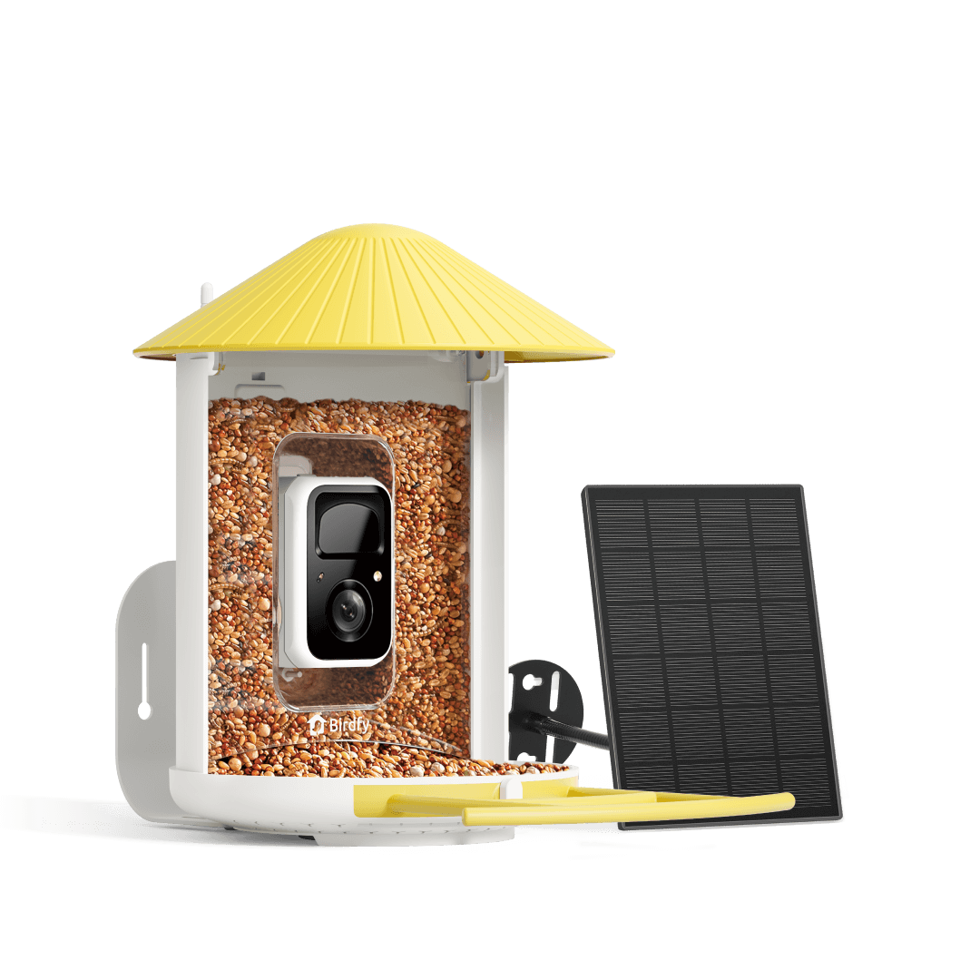 Birdfy Feeder with Solar Panel - Solar-Powered Smart Bird Feeder with Camera Yellow Al by Subscription Bundle Birdfy
