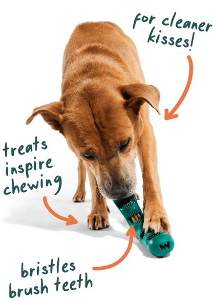 a brown dog eating a treat from the “v” shaped holder