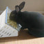 The Open Air Hay Feeder and Hay Roller Bundle Hay feeder Bunny Business