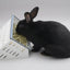 The Open Air Hay Feeder and Hay Roller Bundle | 6 Colors Hay feeder Bunny Business