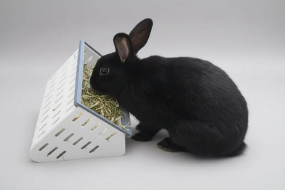 Open Air Hay Feeder and Hay Roller Bundle | 6 Colors Hay feeder Bunny Business