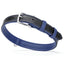 Soft Leather Dual-Color Flat Dog Collar Royal Blue 19-24" 1" Dog Collar Dogline