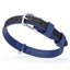 Soft Leather Dual-Color Flat Dog Collar Royal Blue 5 8" Dog Collar Dogline