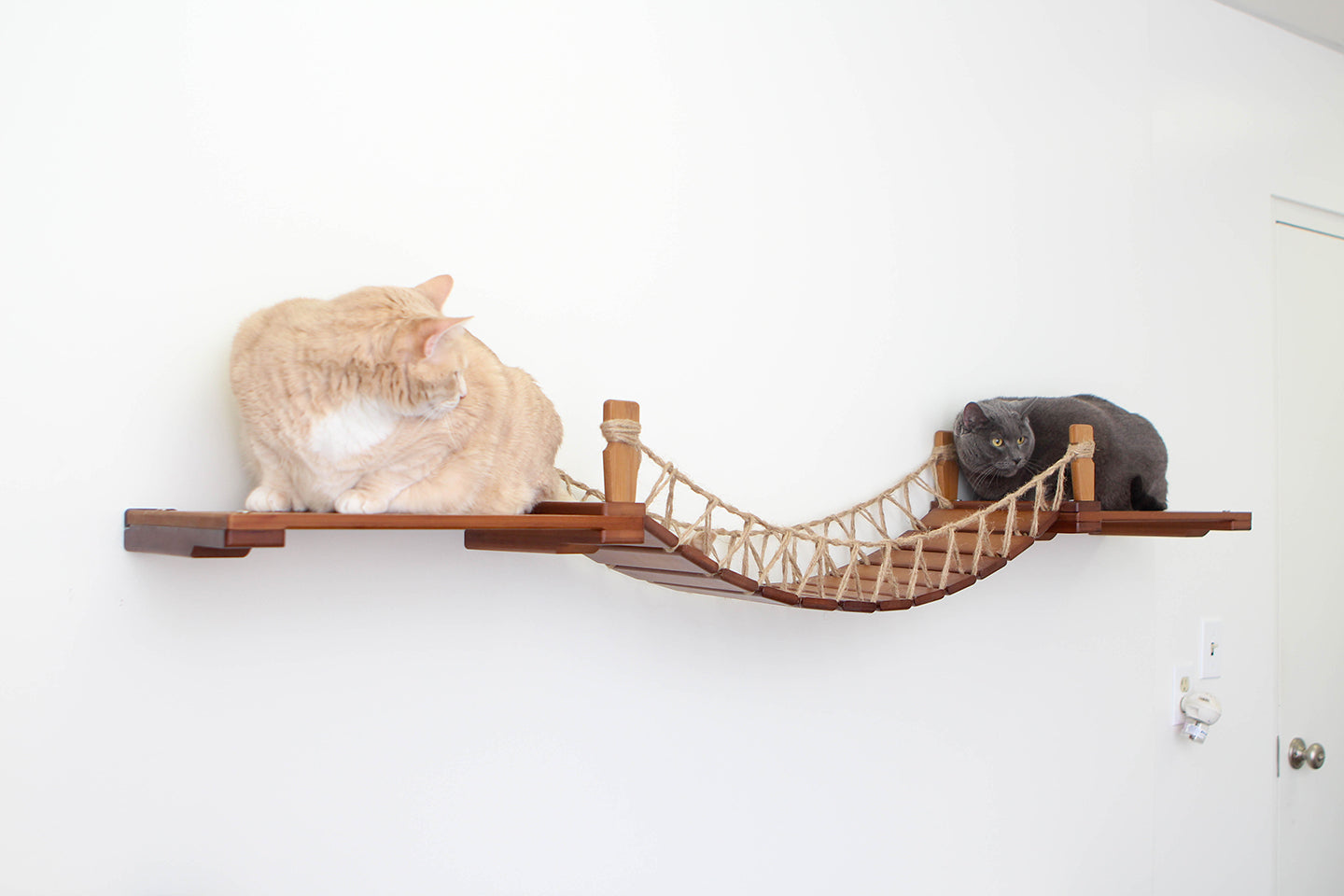 Cat Wall Bridge and Shelf Set Cat Bridge Catastrophic Creations