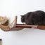 Cat Wall Bridge and Shelf Set Cat Bridge Catastrophic Creations