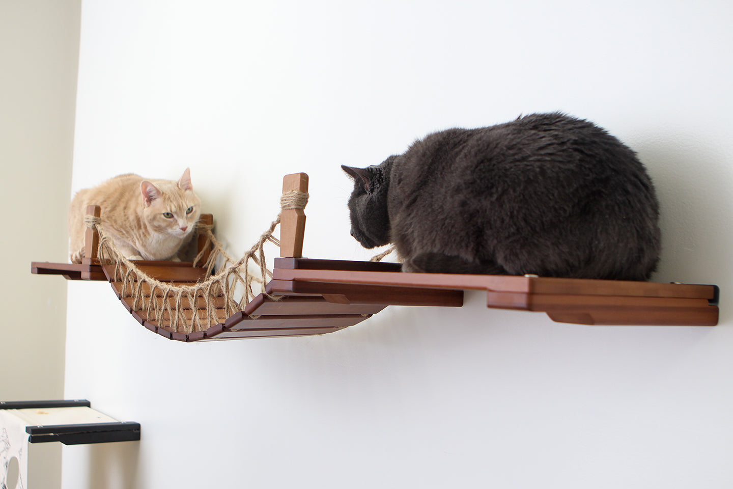 Cat Wall Bridge and Shelf Set Cat Bridge Catastrophic Creations