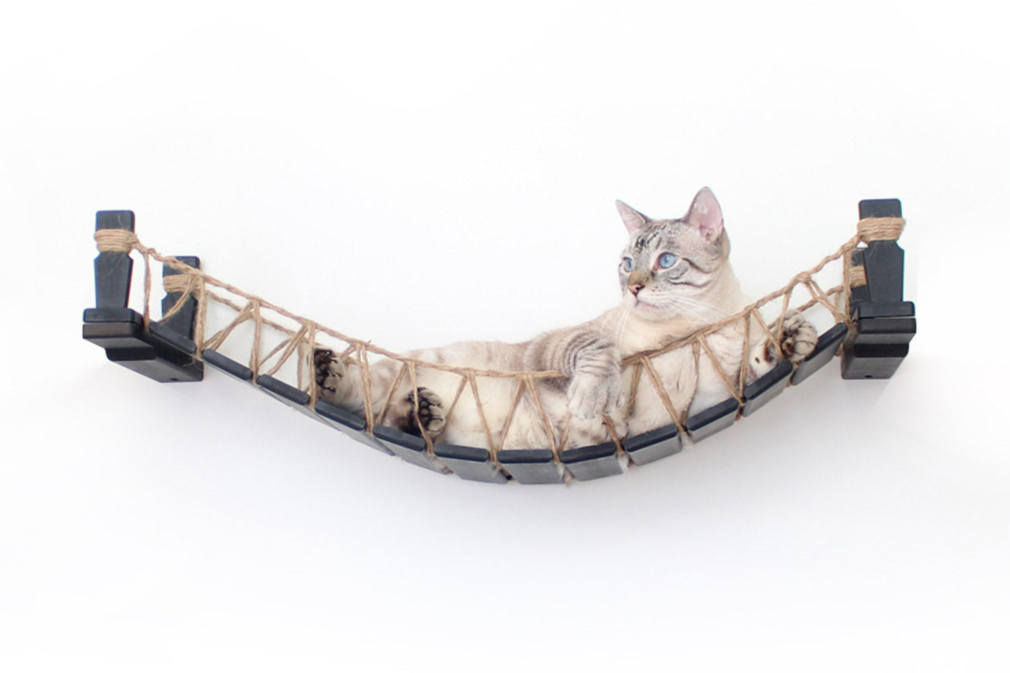 Cat Bridge for Wall Cat Bridge Catastrophic Creations