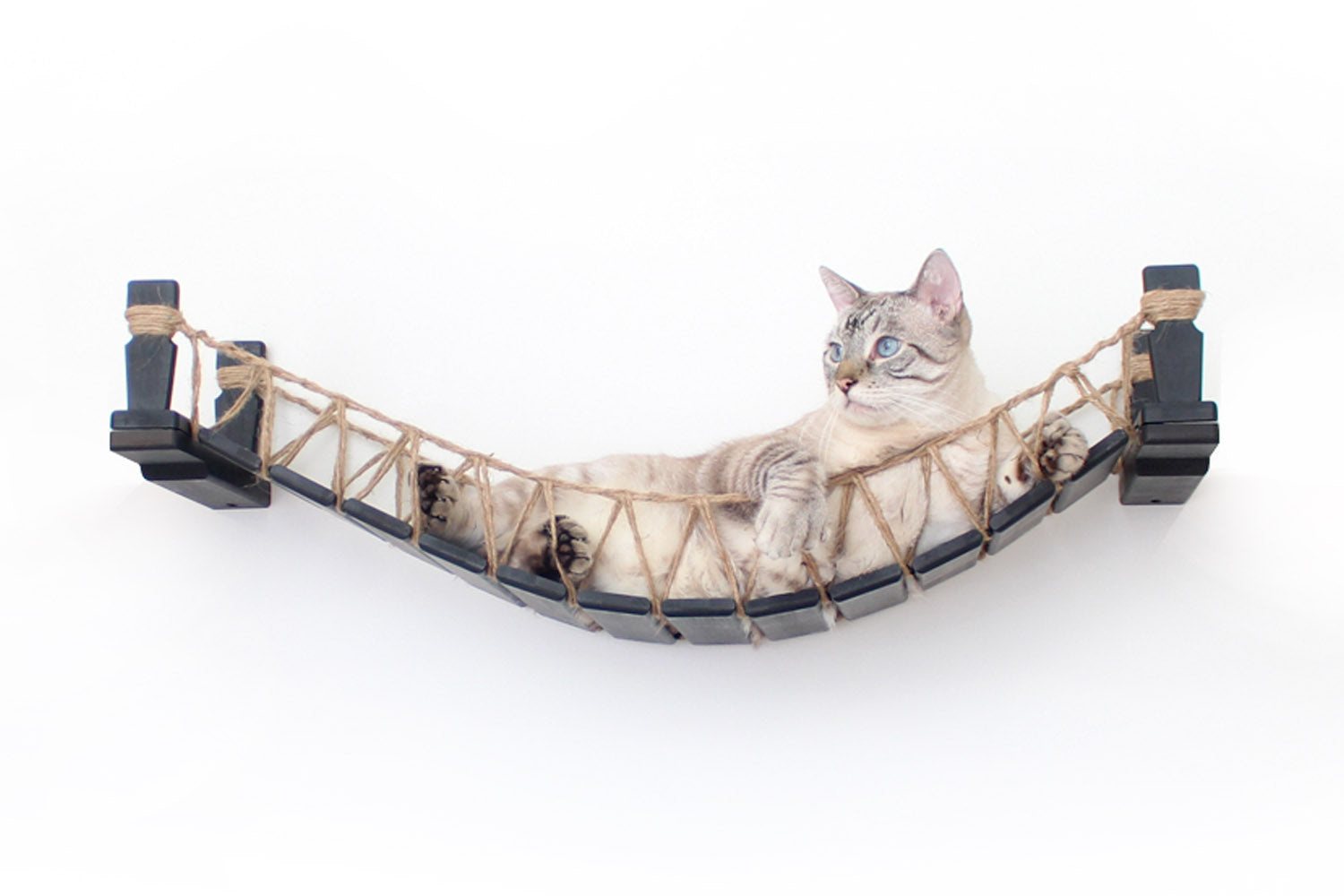 Cat Bridge for Wall Cat Bridge Catastrophic Creations