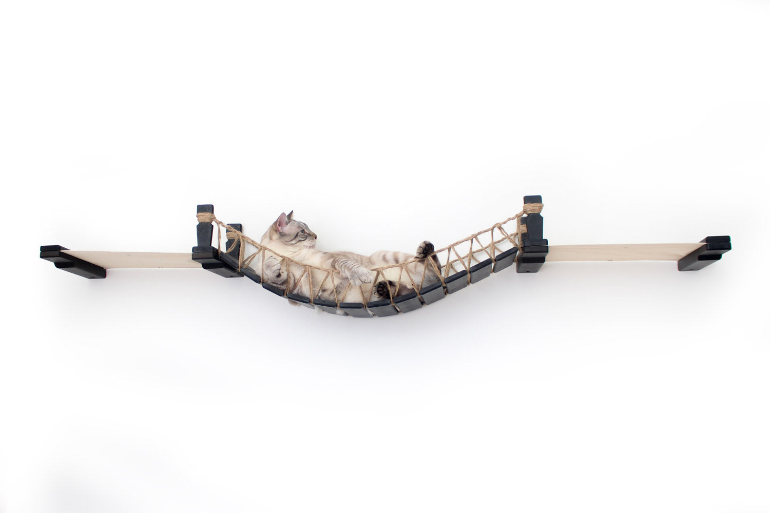 Double Cat Hammock and Climbing Bridge Combo Cat Bridge Catastrophic Creations