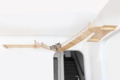 Corner Cat Shelf Bridge Cat Bridge Catastrophic Creations