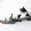 Cat Wall Bridge and Shelf Set Cat Bridge Catastrophic Creations