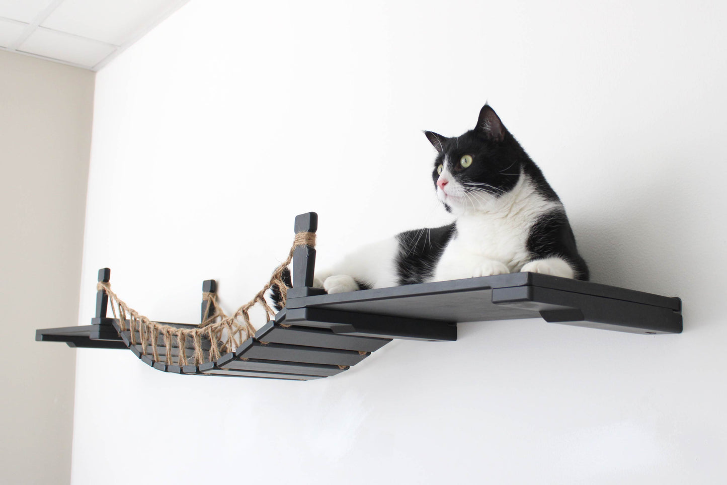 Cat Wall Bridge and Shelf Set Cat Bridge Catastrophic Creations