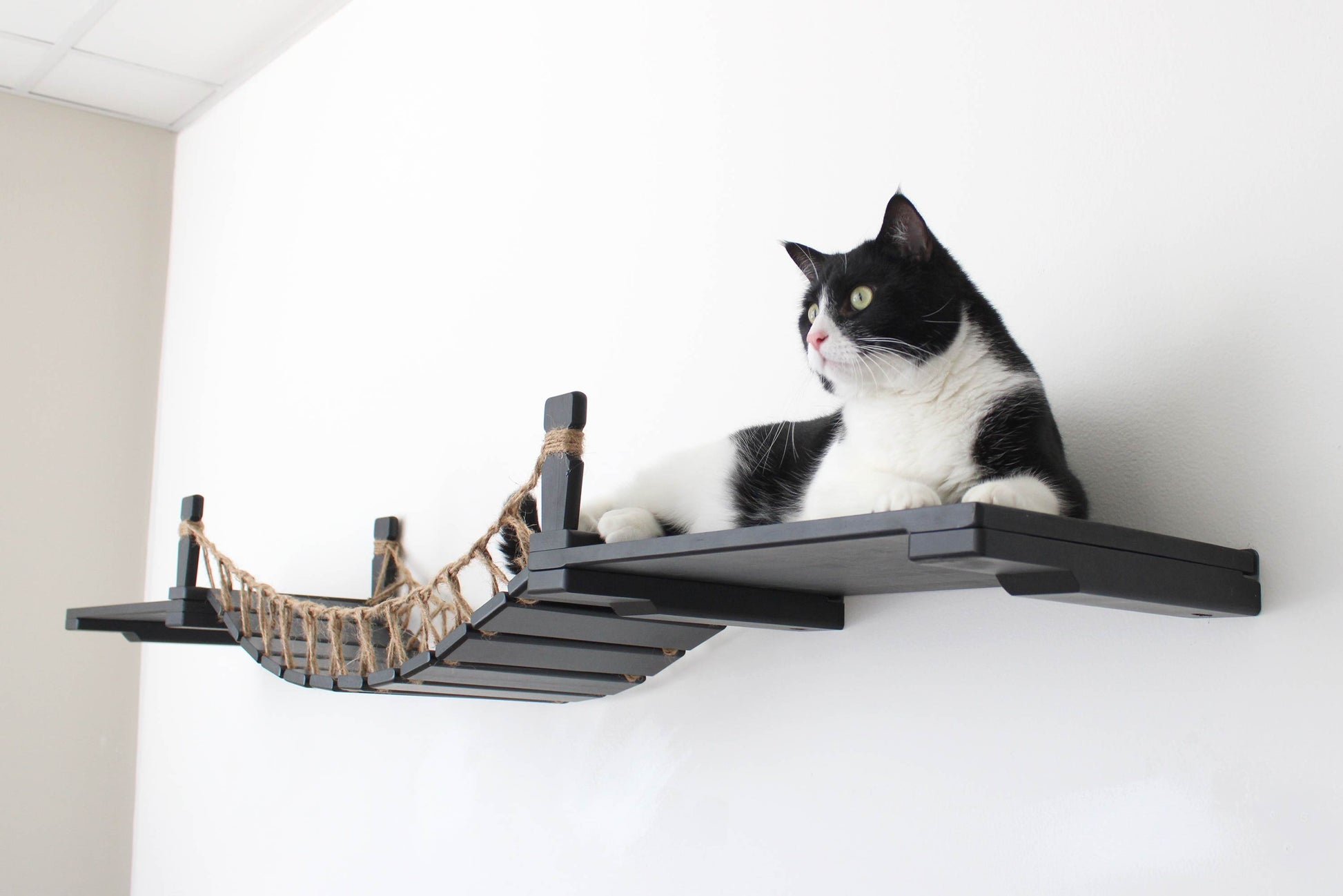 Cat Wall Bridge and Shelf Set Cat Bridge Catastrophic Creations