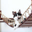 Double Cat Hammock and Climbing Bridge Combo Cat Bridge Catastrophic Creations