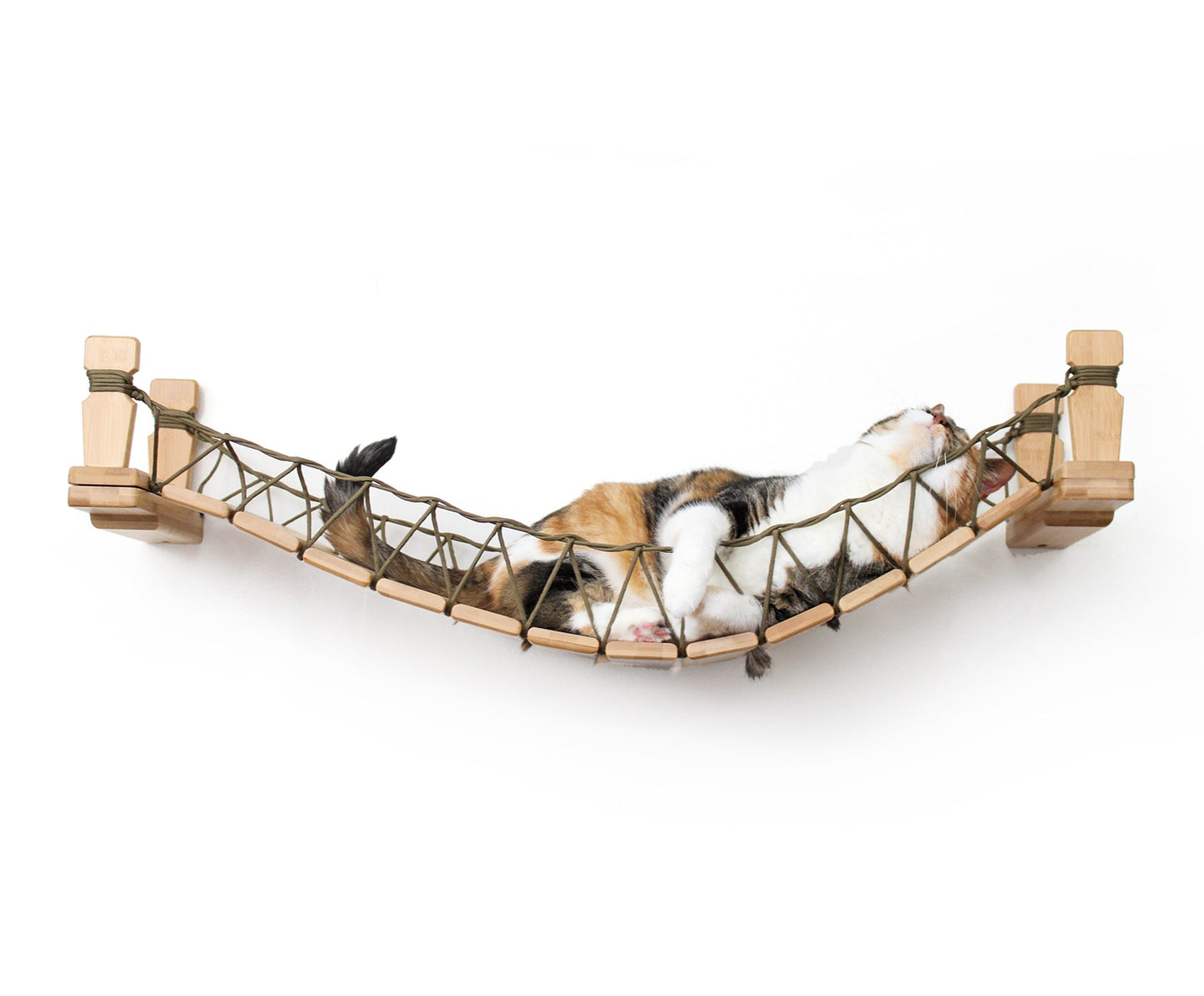 Cat Bridge for Wall Natural Bamboo 34" Cat Bridge Catastrophic Creations