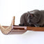 Cat Wall Bridge and Shelf Set Cat Bridge Catastrophic Creations