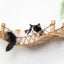 Cat Bridge for Wall Cat Bridge Catastrophic Creations