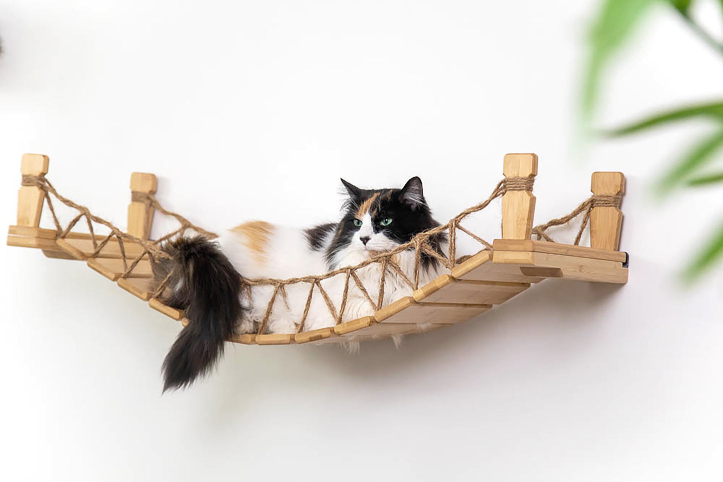 Cat Bridge for Wall Cat Bridge Catastrophic Creations
