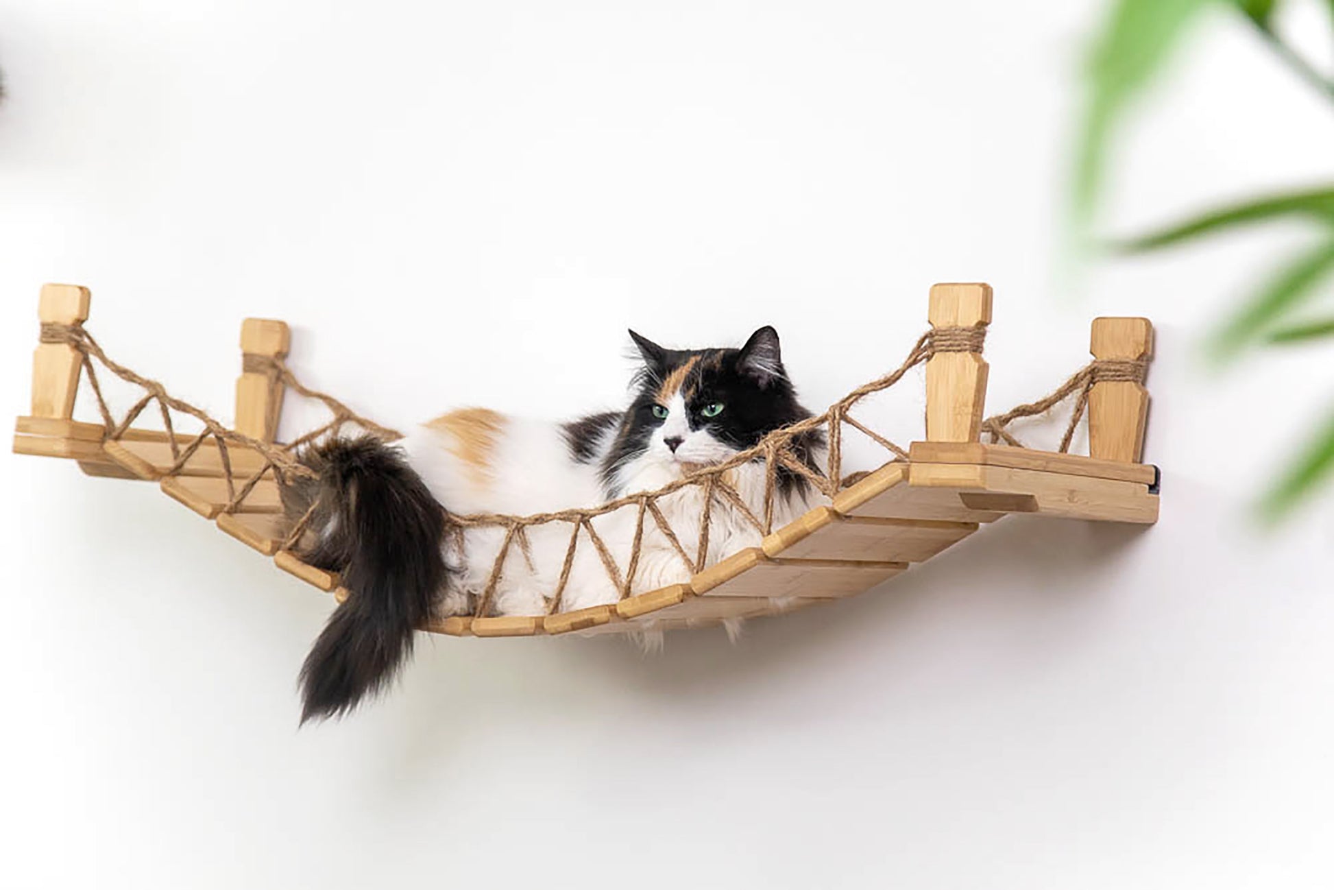 Cat Bridge for Wall Cat Bridge Catastrophic Creations