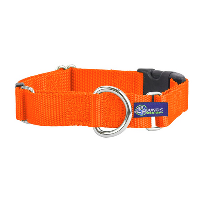 5/8″ and 1″ Neon Orange Nylon Buckle Martingale Dog Collar Martingale Dog Collar 2 Hounds Design