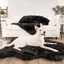 PupRug by Paw.com® Faux Fur Orthopedic Dog Bed - Curve Midnight Black Dog Beds Paw.com