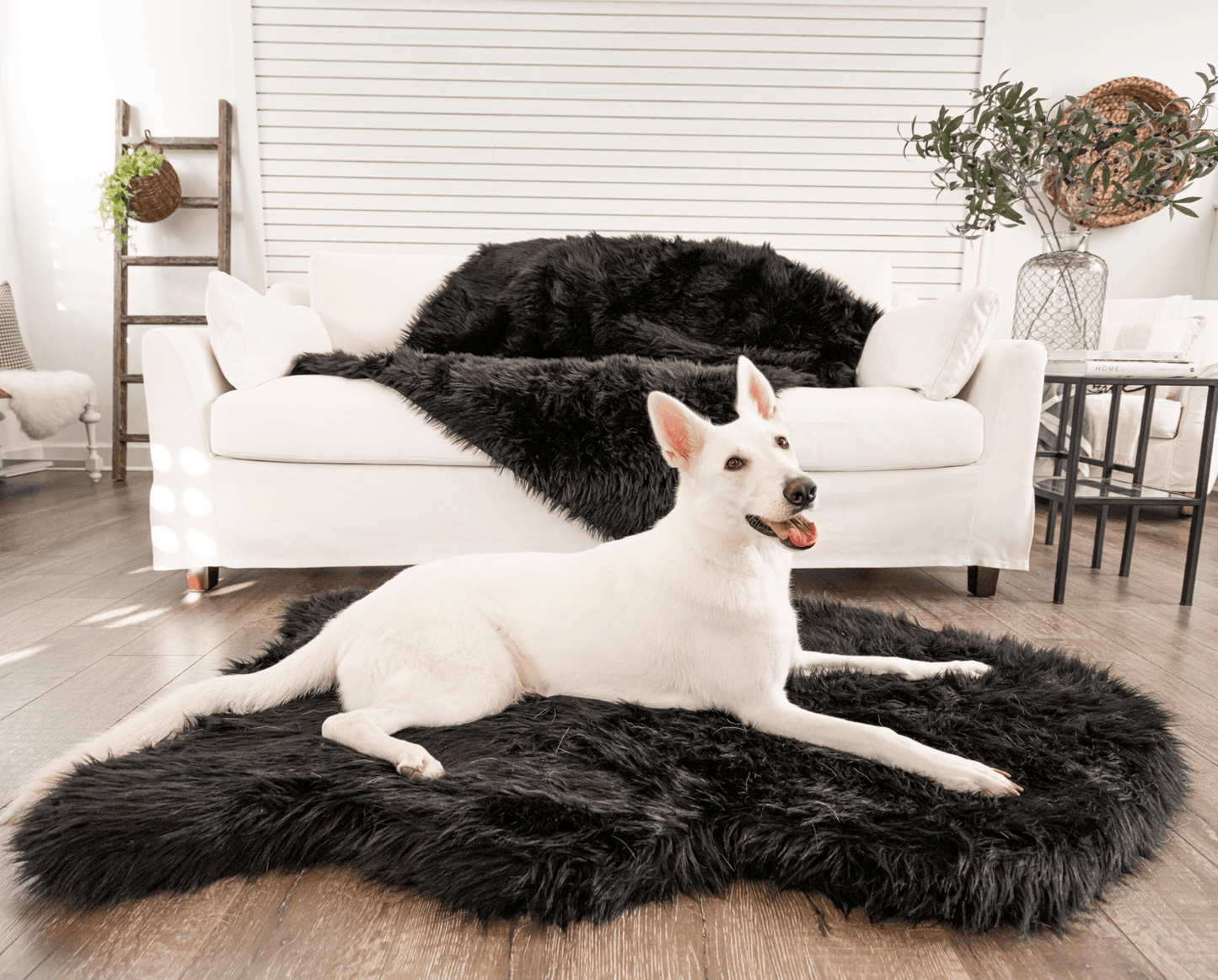 PupRug by Paw.com® Faux Fur Orthopedic Dog Bed - Curve Midnight Black Dog Beds Paw.com