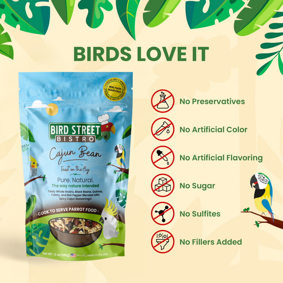 Cajun Bean - Feast on the Fly Parrot Food Bird Street Bistro