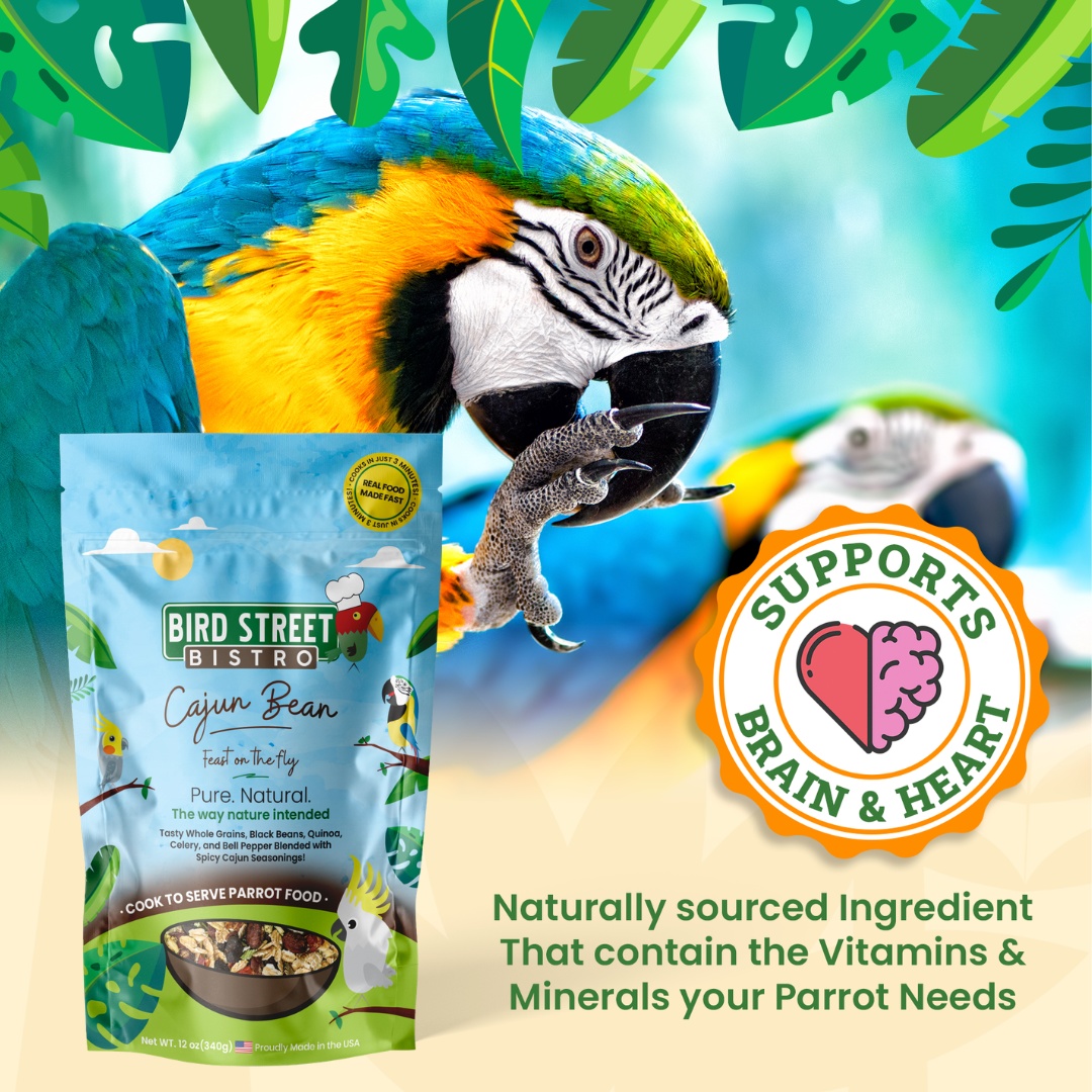 Cajun Bean - Feast on the Fly Parrot Food Bird Street Bistro