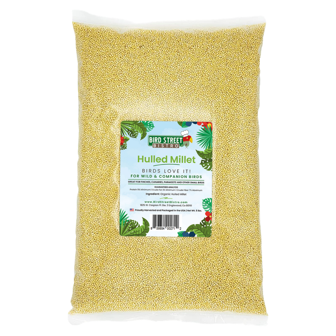 Hulled Millet - 5 lbs. Animals & Pet Supplies Bird Street Bistro
