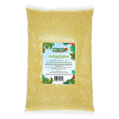 Hulled Millet - 5 lbs. Animals & Pet Supplies Bird Street Bistro