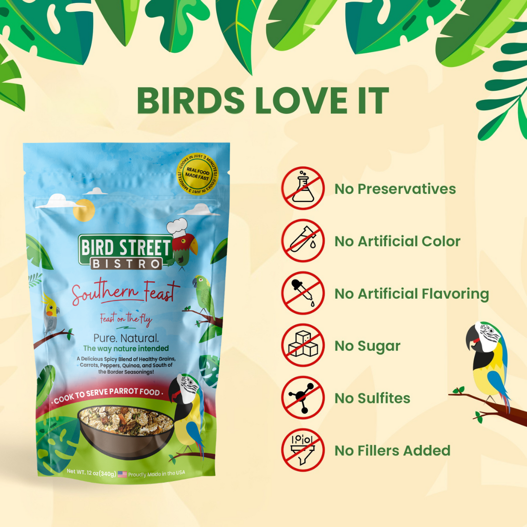 Southern Feast Parrot Food Bird Street Bistro