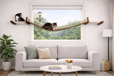Double Cat Hammock and Climbing Bridge Combo Cat Bridge Catastrophic Creations