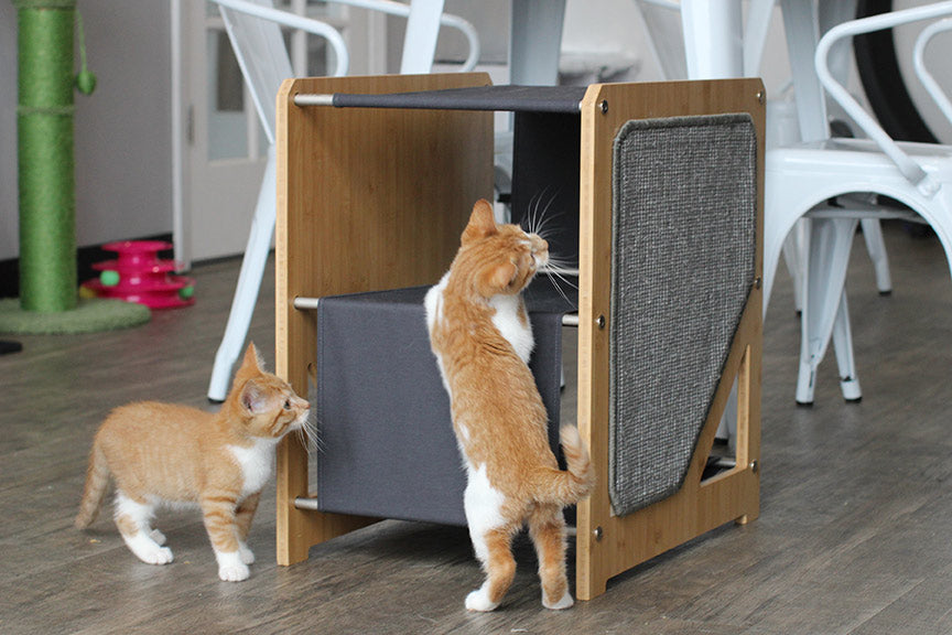The Grotto - Short Cat Tree for Small Spaces Cat Condo Catastrophic Creations