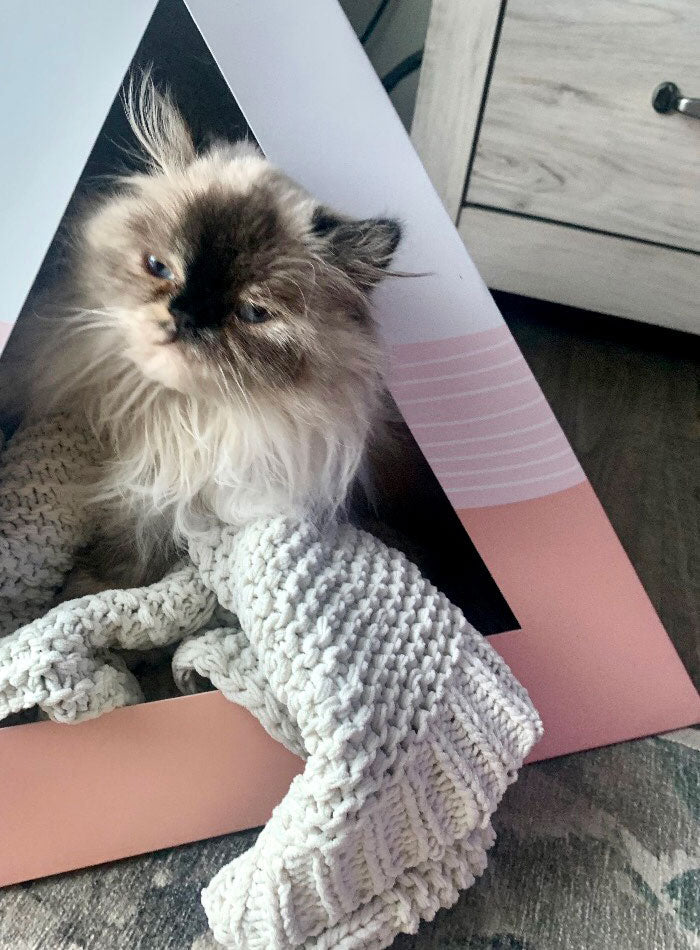 'Wavey' Cardboard Cat Pyramid KittyKardboard