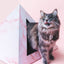 'Rose Quartz' Cardboard Cat Pyramid KittyKardboard