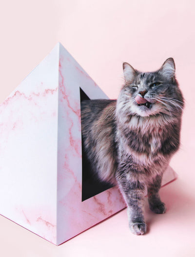 'Rose Quartz' Cardboard Cat Pyramid KittyKardboard