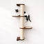 Wall Mounted Cat Climbing Pole - Sisal Cat Scratcher Catastrophic Creations