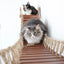 Double Cat Hammock and Climbing Bridge Combo Cat Bridge Catastrophic Creations