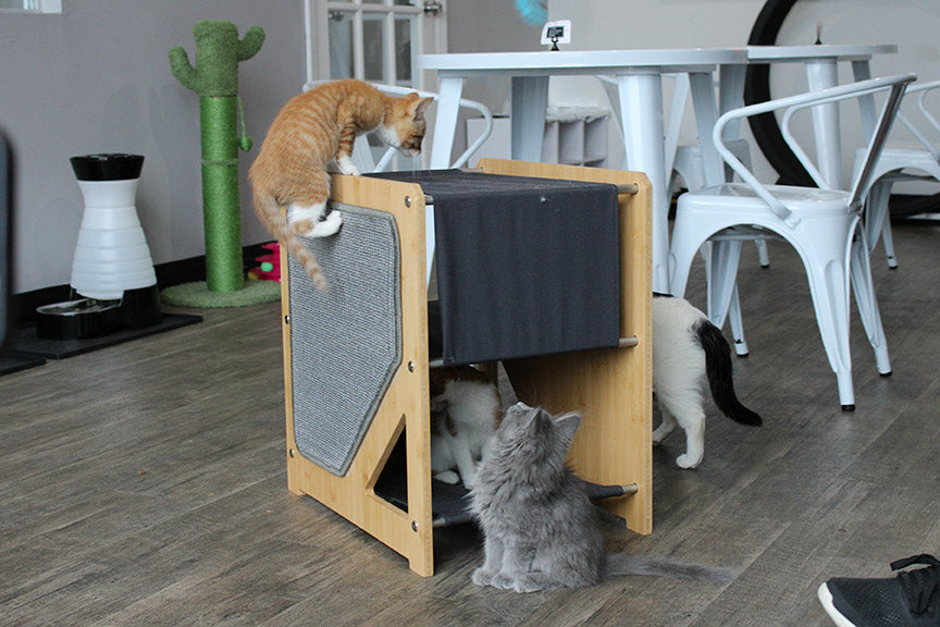 The Grotto - Short Cat Tree for Small Spaces Cat Condo Catastrophic Creations