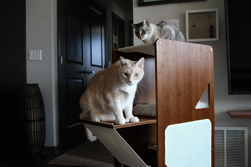 The Overlook - Sturdy - Bamboo Cat Tree Cat Condo Catastrophic Creations