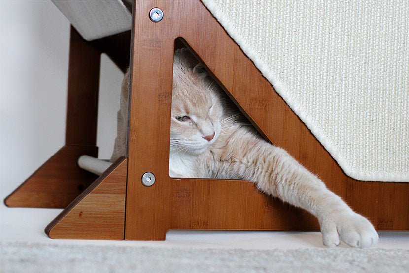 The Overlook - Sturdy - Bamboo Cat Tree Cat Condo Catastrophic Creations