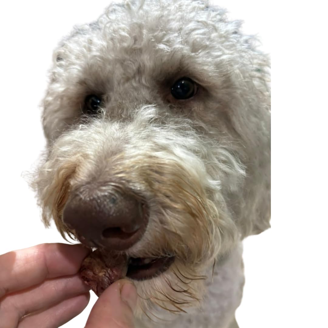 Freeze-Dried Duck Hearts, 3 oz, Single Ingredient Dog & Cat Treats, USA Made Dog Treats Quailz.com by Undique LLC