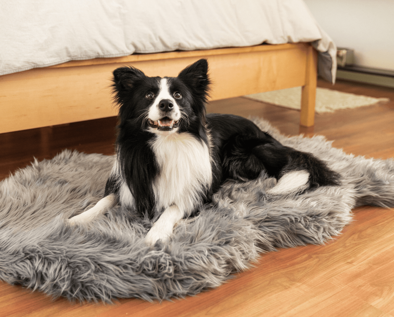 PupRug by Paw.com® Faux Fur Orthopedic Dog Bed - Curve Charcoal Grey Dog Beds Paw