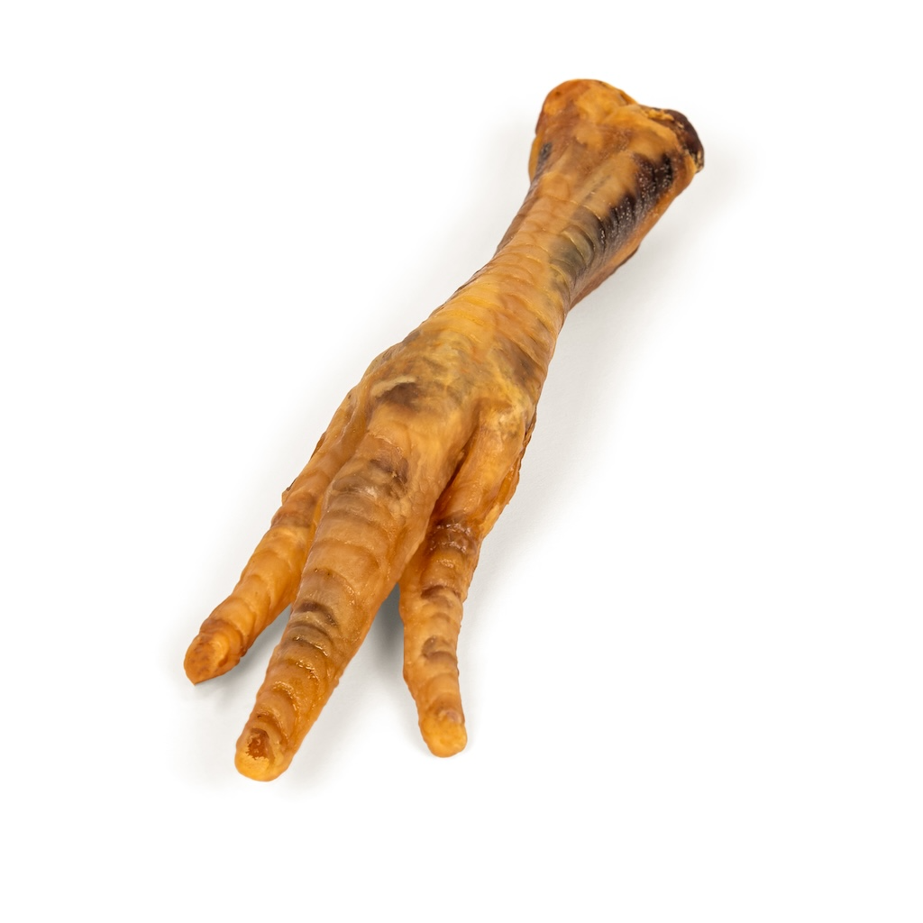 Image of a dehydrated chicken foot with no nails 